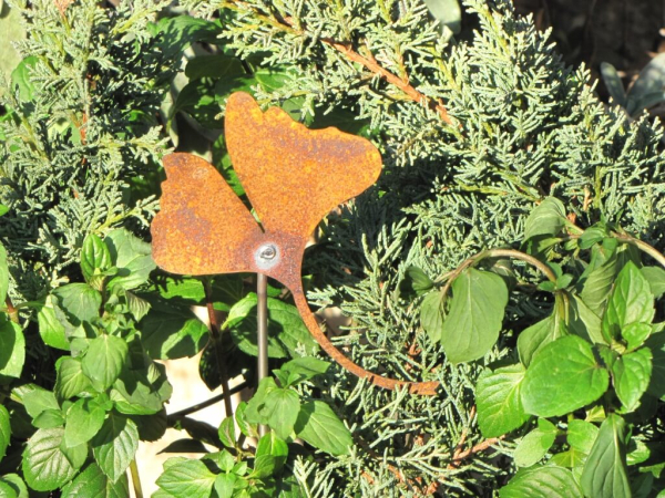 Edelrost Topfstecker Ginkgo