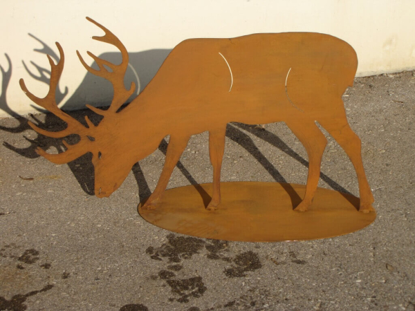 Edelrost Hirsch fressend auf Platte