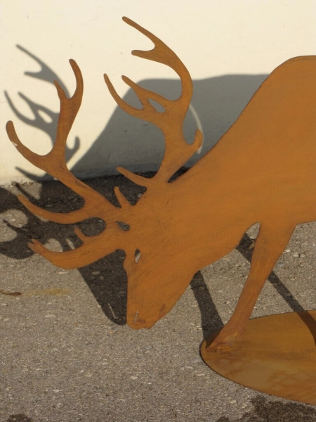Edelrost Hirsch fressend auf Platte