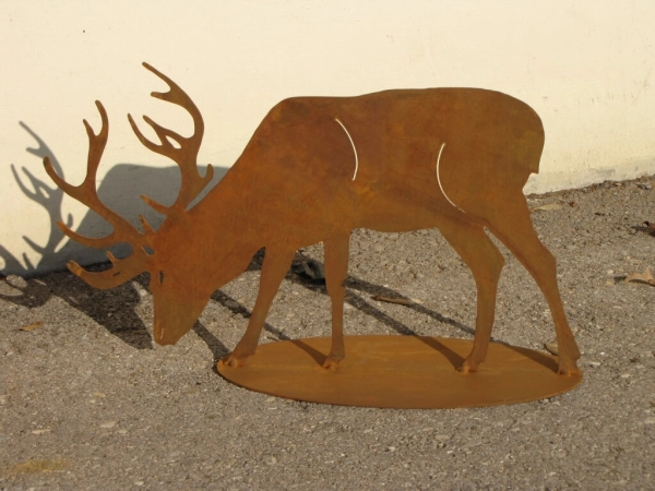 Edelrost Hirsch fressend auf Platte