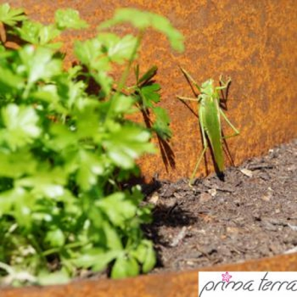 Edelrost Pflanzpyramide Prima Terra, rund, 80 cm