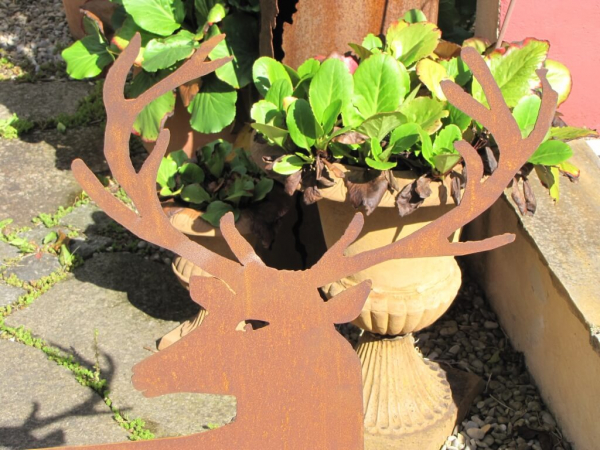 Edelrost Hirsch stehend