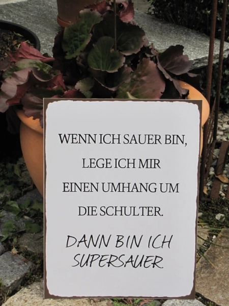 Shabby Chic Metallspruchschild Supersauer