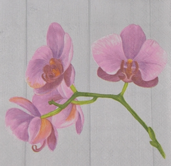 Serviette Orchidee