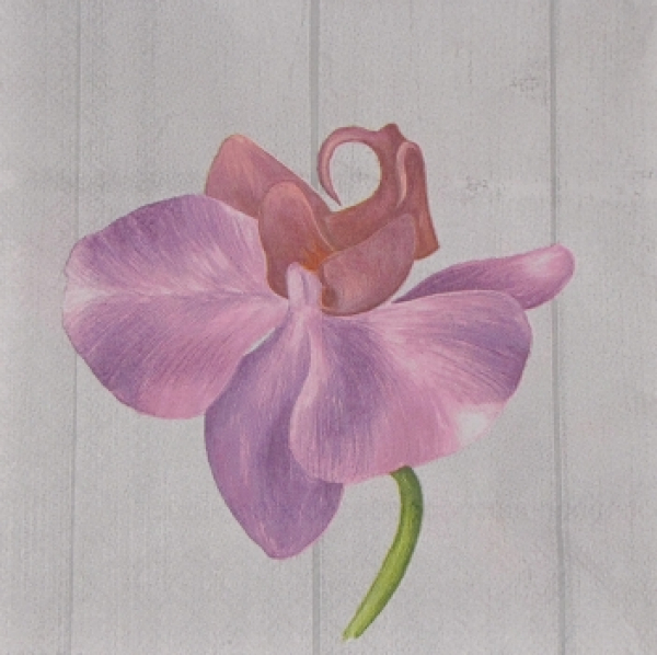 Serviette Orchidee