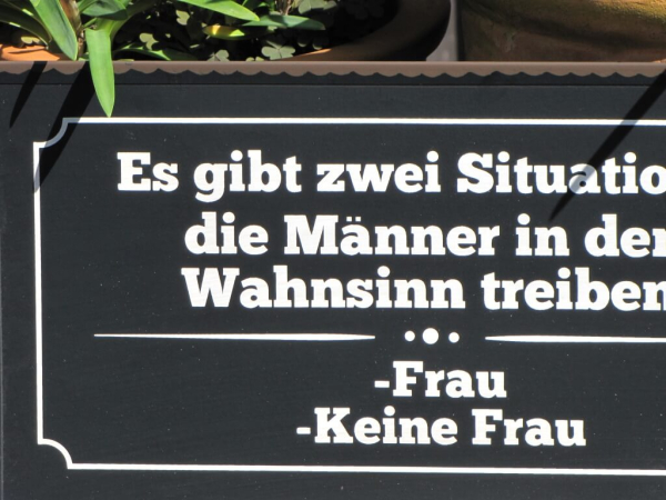 Shabby Chic Metallspruchschild "Wahnsinn"