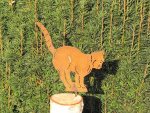 Edelrost Katze zum Schrauben