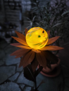 Edelrost Solarblume Maya, gelb