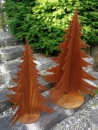 Edelrost Tanne Andi, 3D