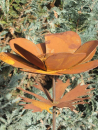 Edelrost Anemone mit Kugel